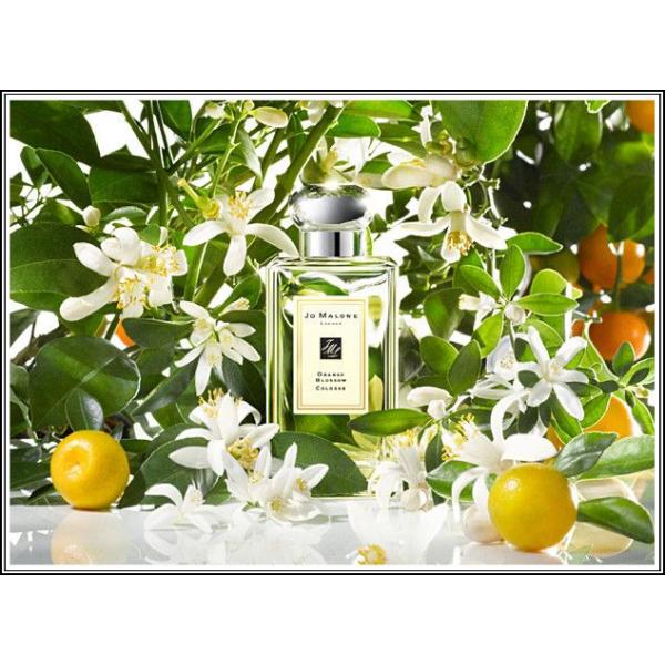 Jo Malone Orange Blossom одеколон